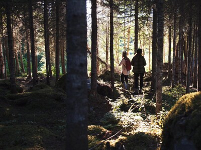 Randonné et plein air